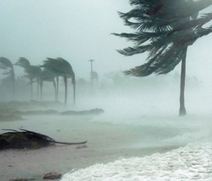 Hurricane blowing through a beach.