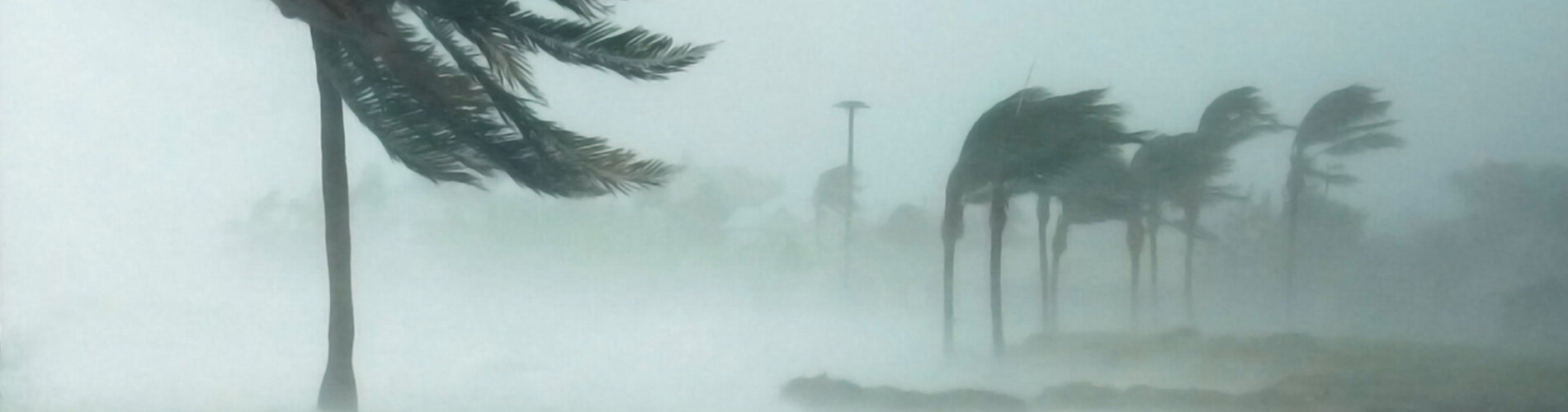 A hurricane blowing through a beach.